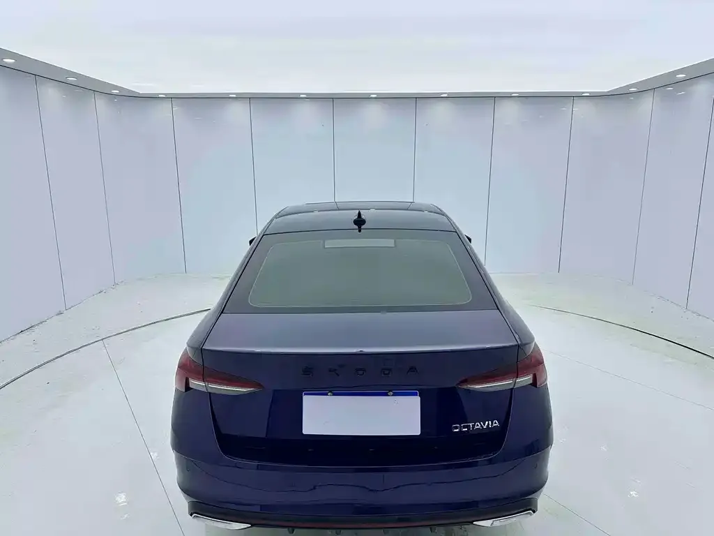 Skoda Octavia 2022 из CN, фото 4