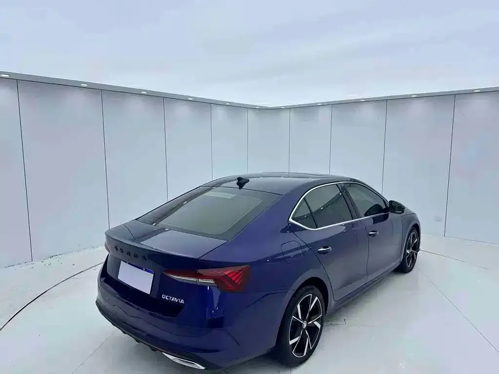 Skoda Octavia 2022 из CN, фото 6