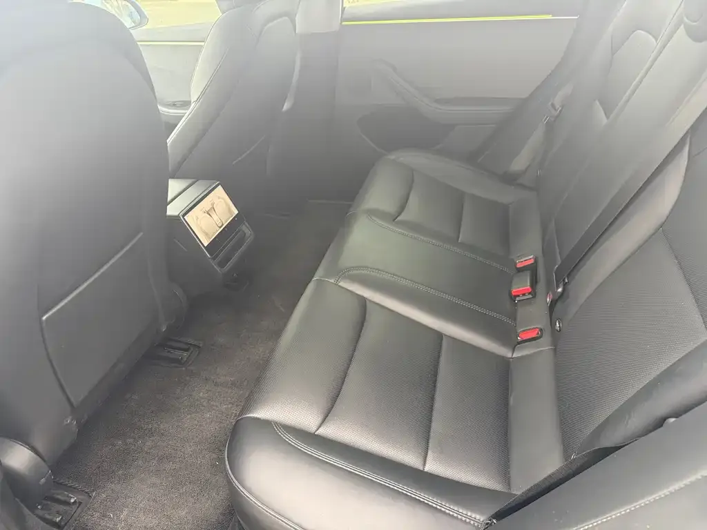 Tesla Model 3 2023 из CN, фото 4