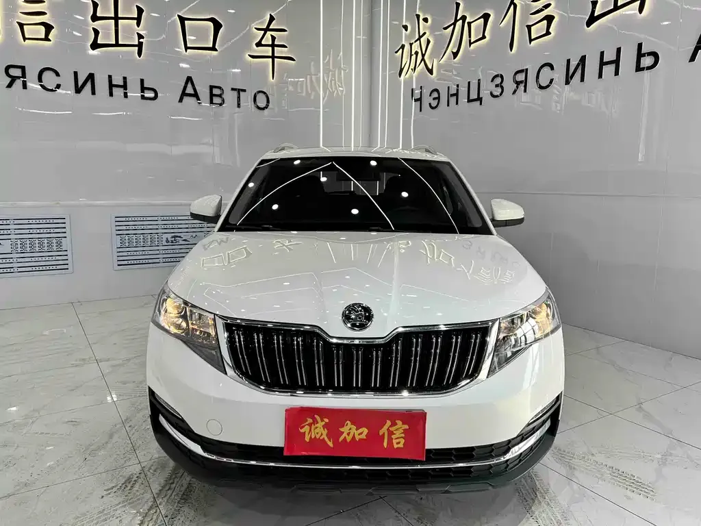 Skoda Kamiq 2022 из CN, фото 10