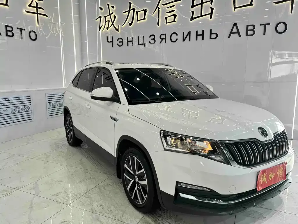 Skoda Kamiq 2022 из CN, фото 6