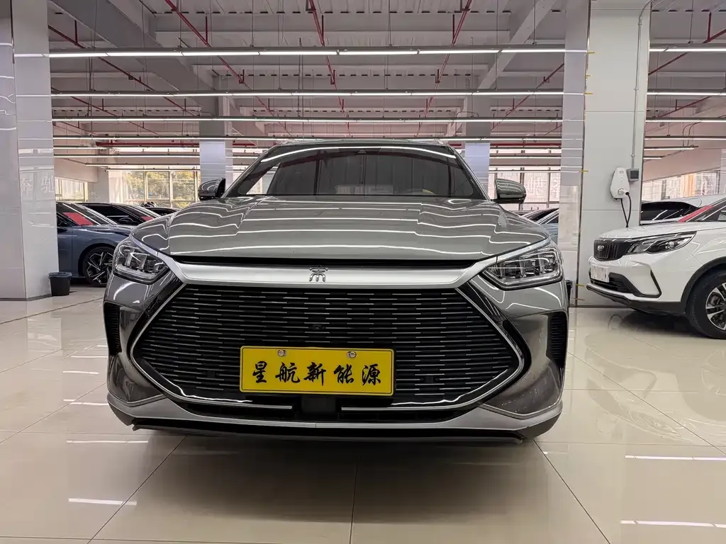BYD PLUS New Energy 2021 из CN, фото 7