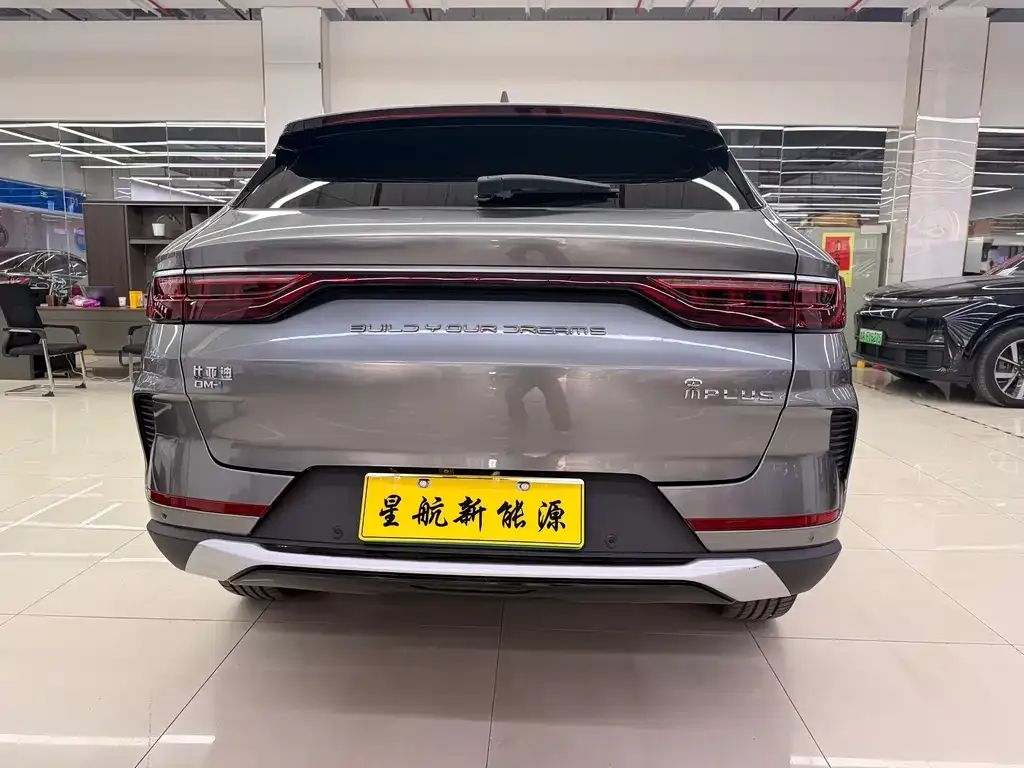 BYD PLUS New Energy 2021 из CN, фото 2