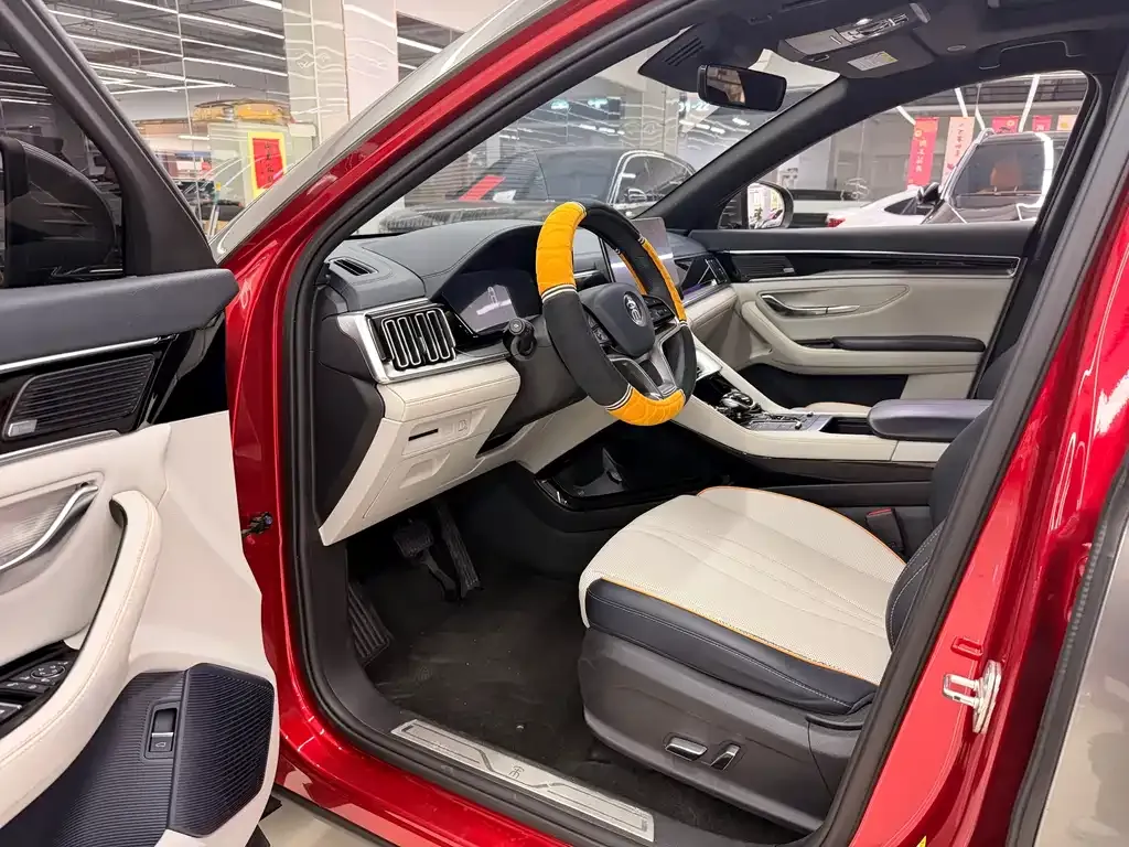 BYD PLUS New Energy 2021 из CN, фото 6