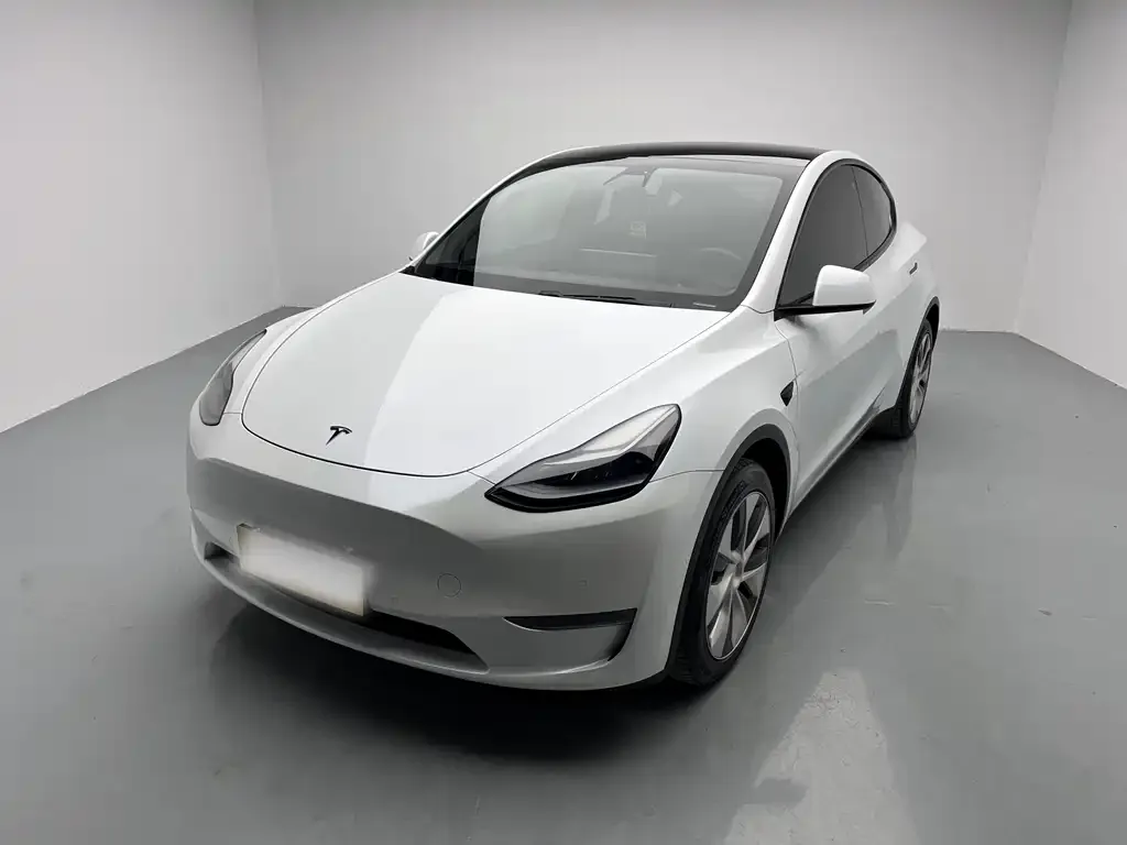 Tesla Model Y 2021 из CN, фото 1