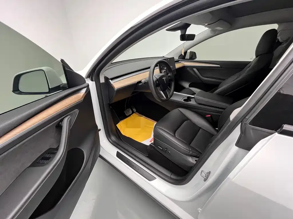 Tesla Model Y 2021 из CN, фото 10