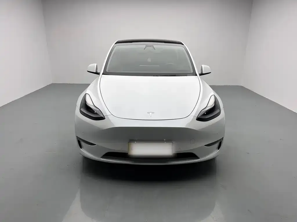 Tesla Model Y 2021 из CN, фото 4