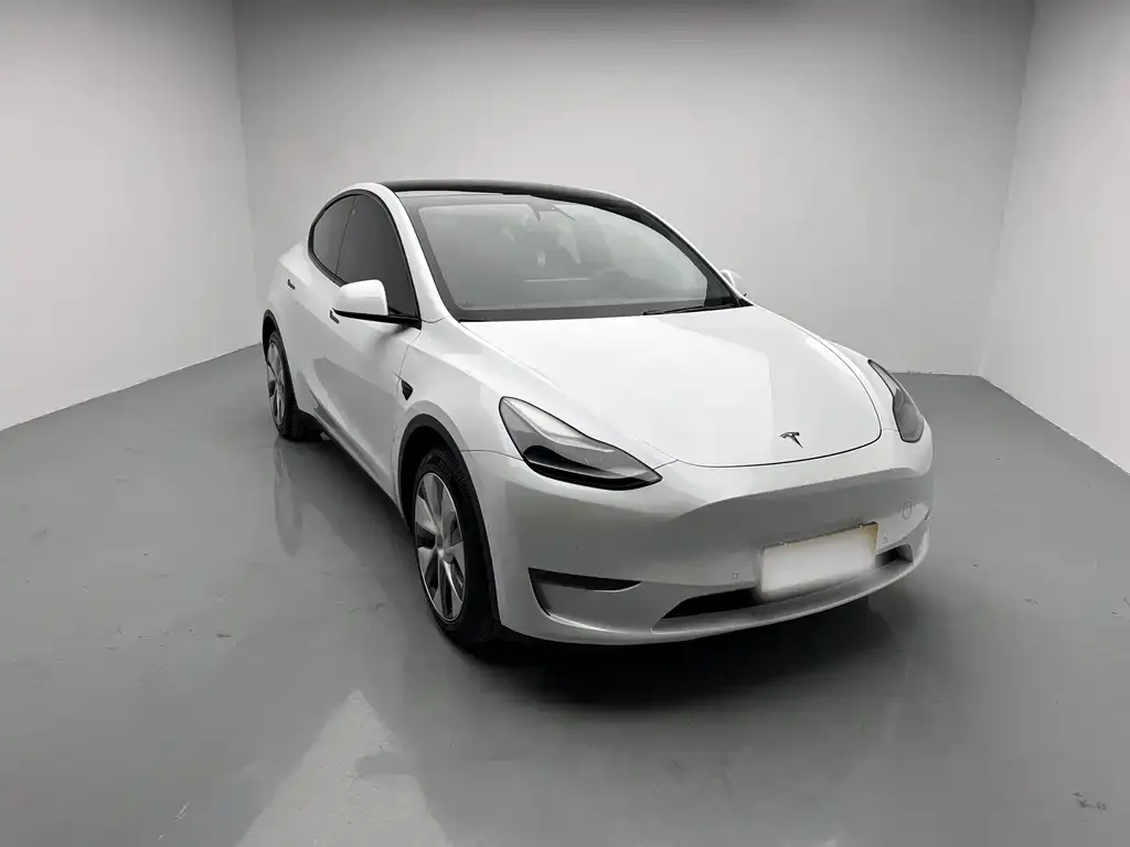 Tesla Model Y 2021 из CN, фото 3