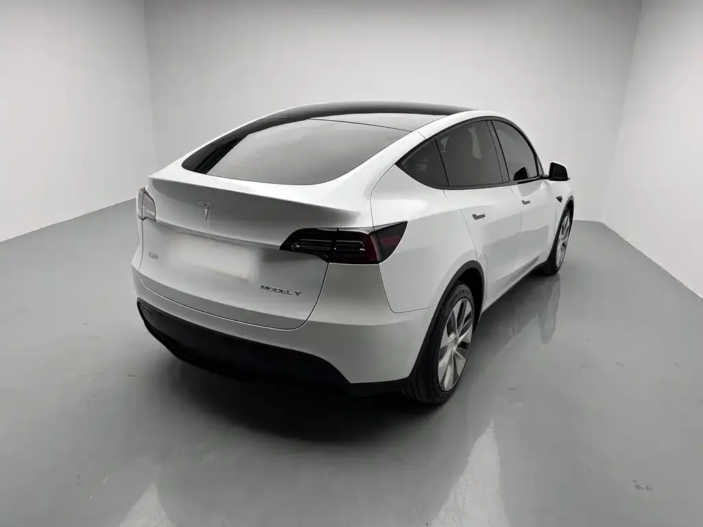 Tesla Model Y 2021 из CN, фото 2