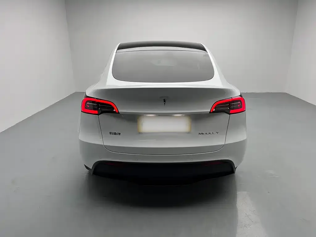 Tesla Model Y 2021 из CN, фото 5