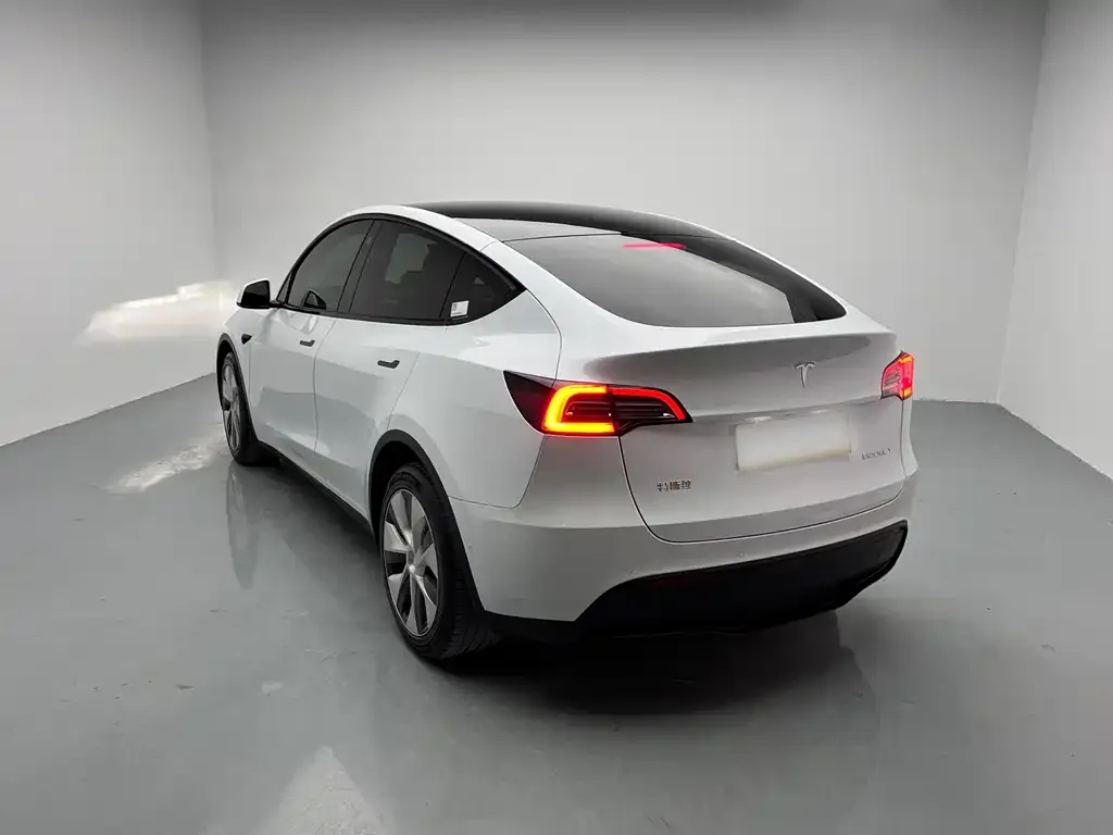 Tesla Model Y 2021 из CN, фото 6