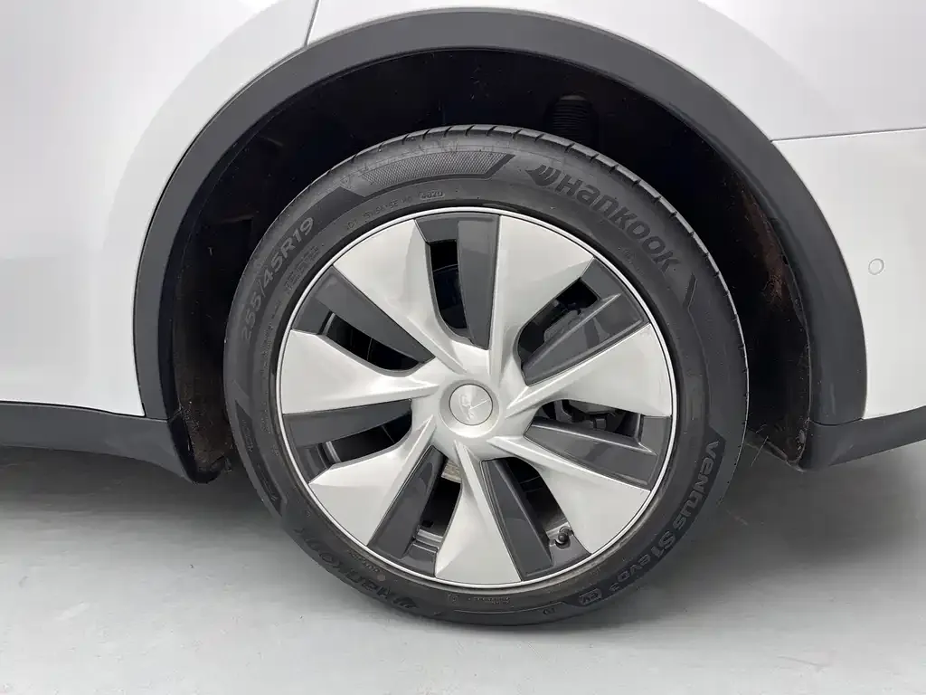 Tesla Model Y 2021 из CN, фото 8