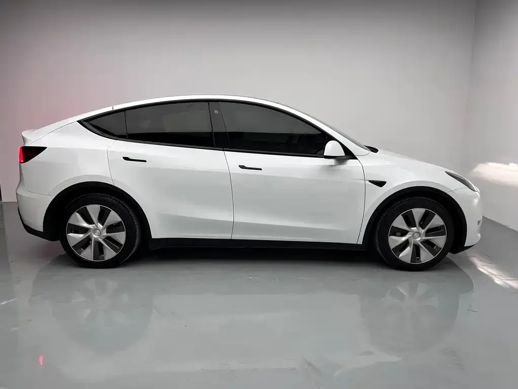 Tesla Model Y 2021 из CN, фото 9