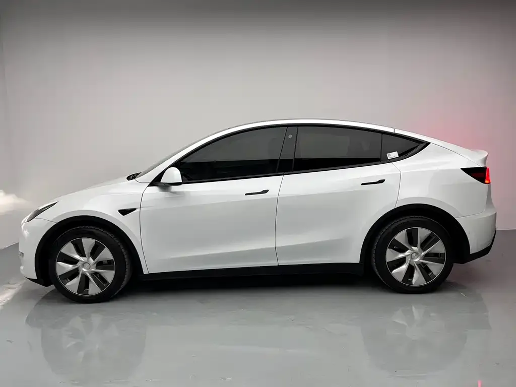 Tesla Model Y 2021 из CN, фото 7