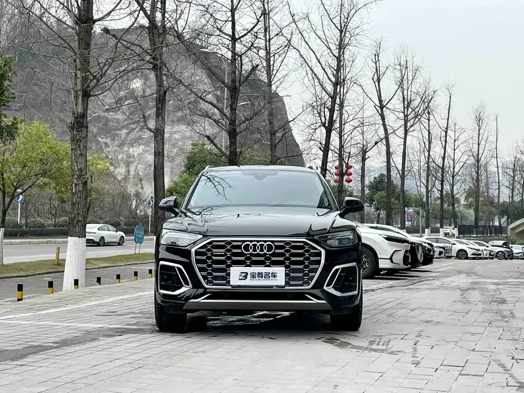 Audi Q5L 2022 из CN, фото 10