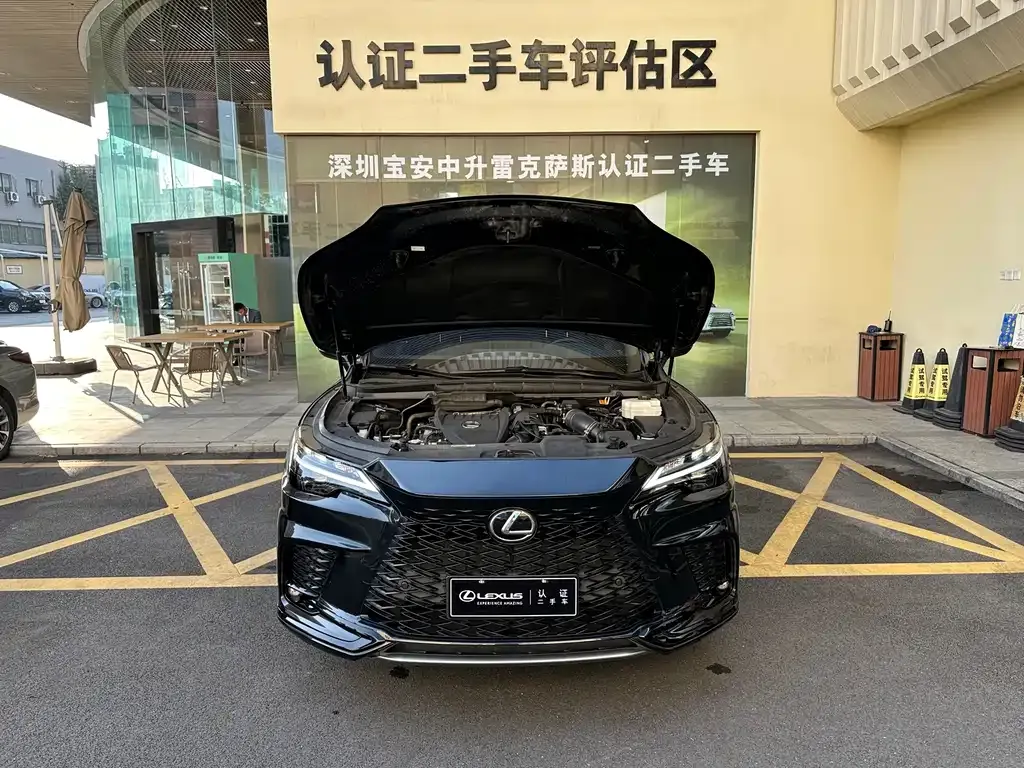 Lexus RX — фото 9