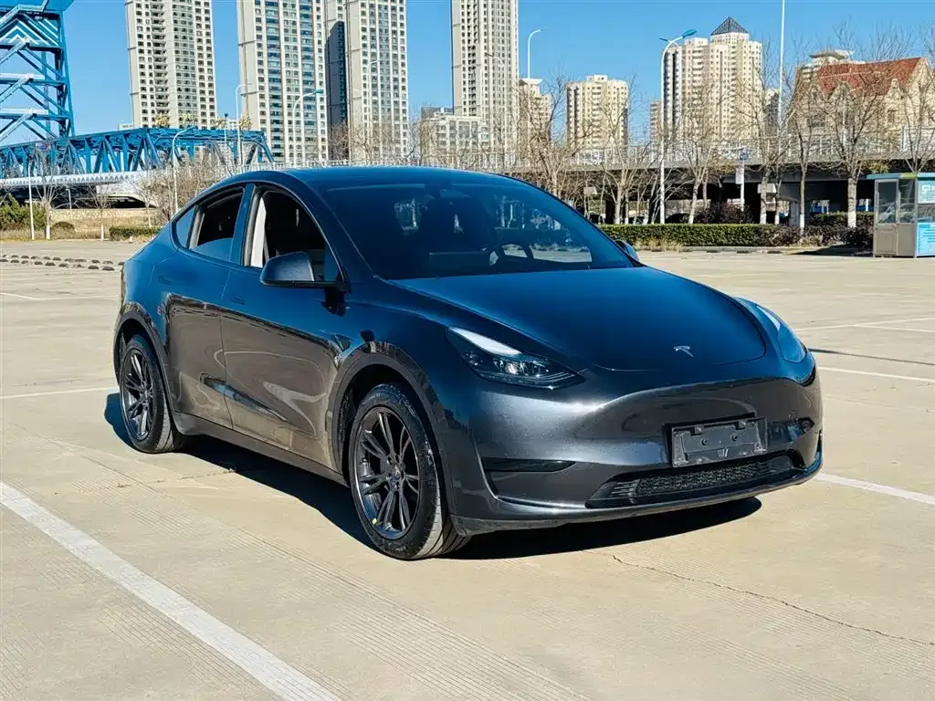 Tesla Model Y — фото 8