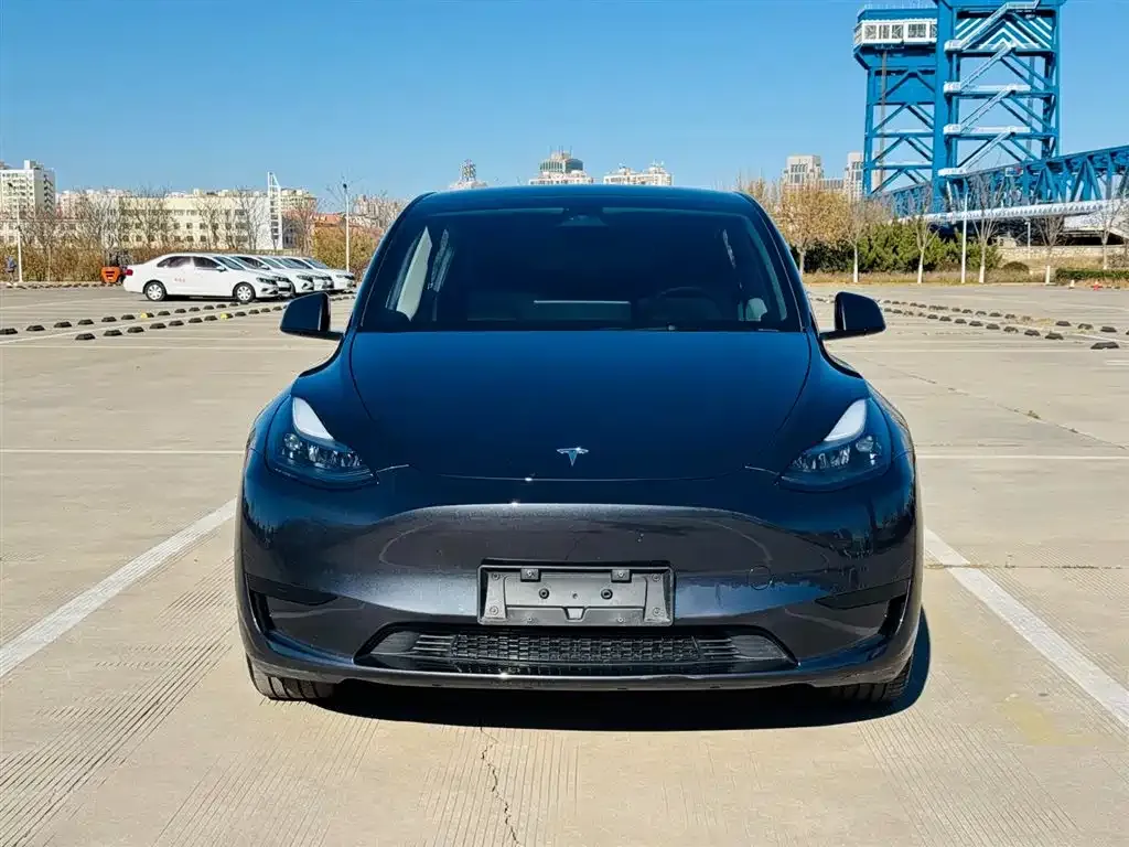 Tesla Model Y — фото 4