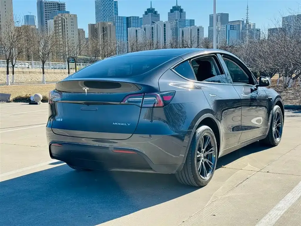 Tesla Model Y — фото 2