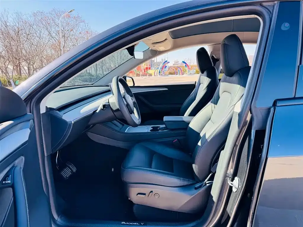 Tesla Model Y — фото 3