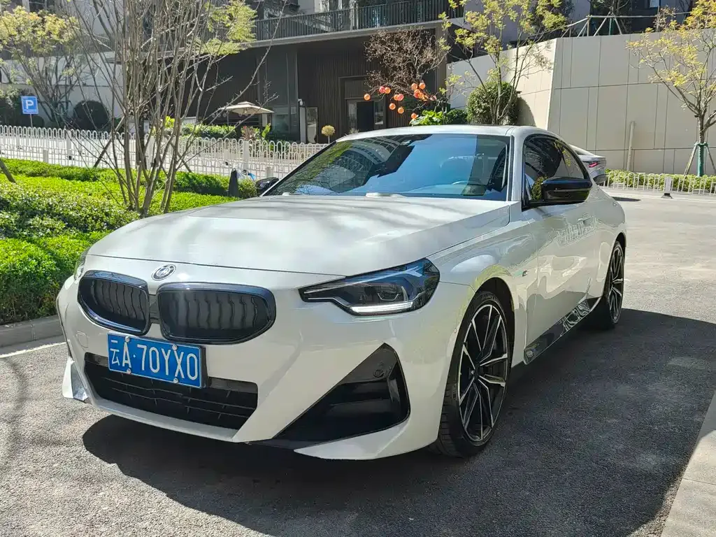 BMW 2 Series (Import)