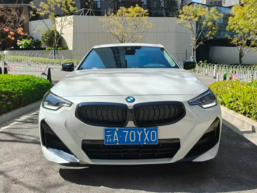 BMW 2 Series (Import) 2022 из CN, фото 10