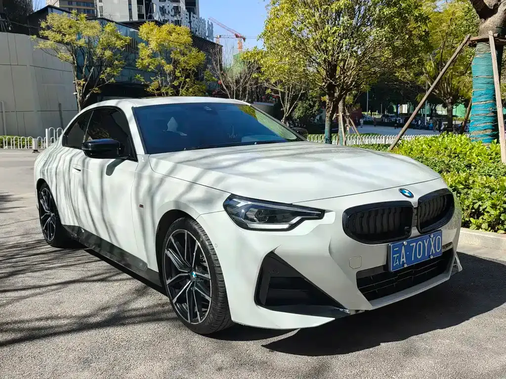 BMW 2 Series (Import) 2022 из CN, фото 7