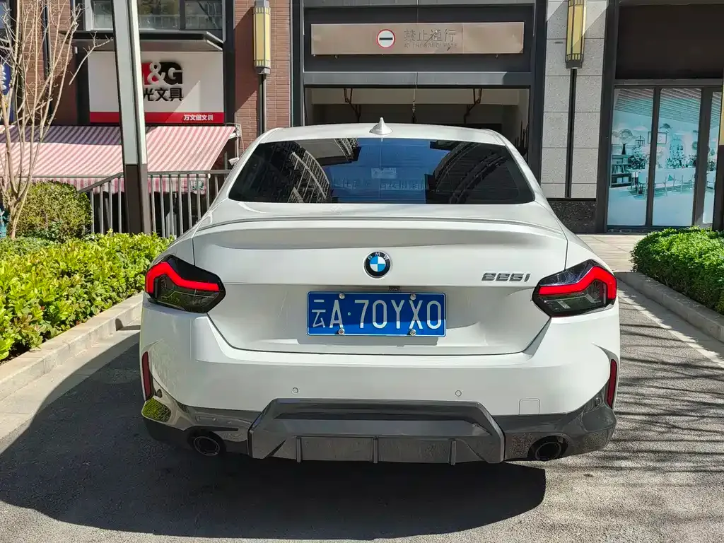 BMW 2 Series (Import) 2022 из CN, фото 8