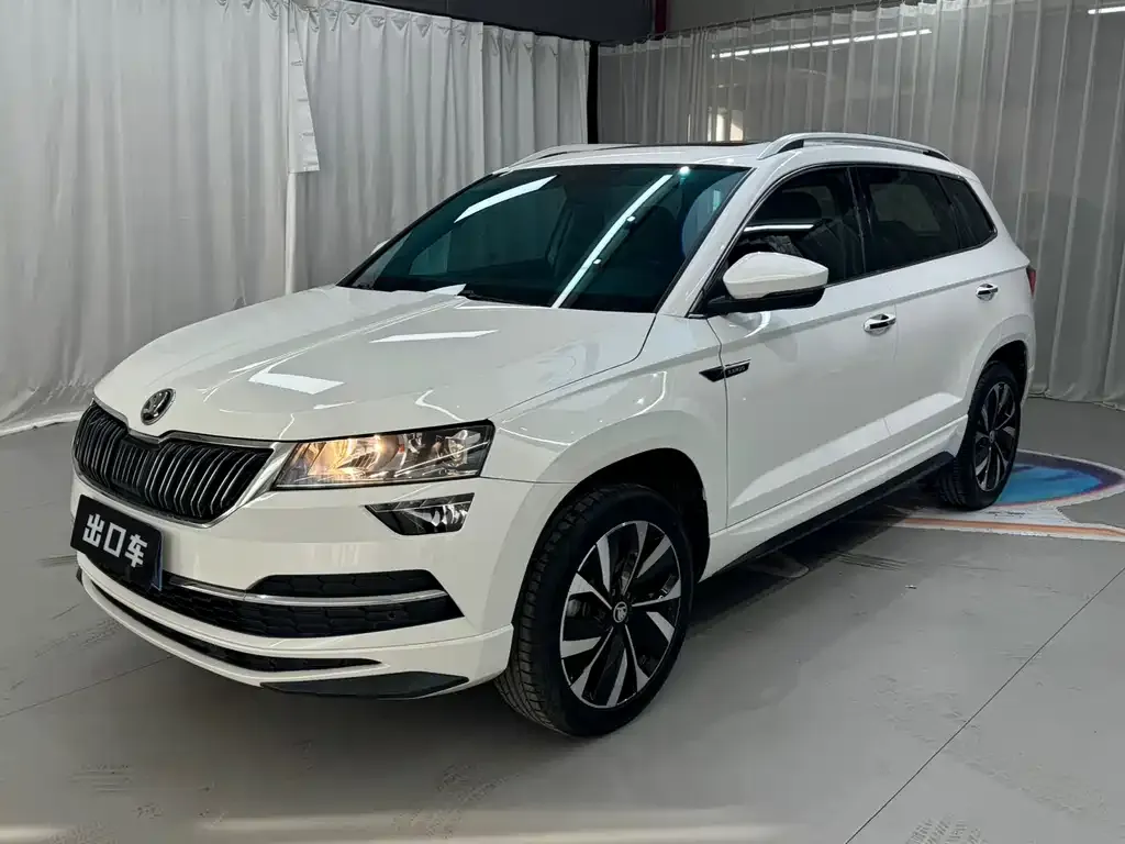 Skoda Karoq 2022 из CN, фото 1
