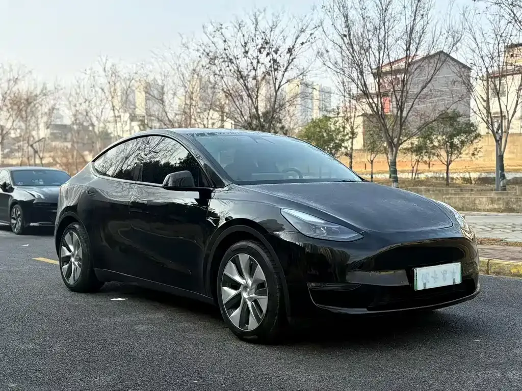 Tesla Model Y 2021 из CN, фото 5