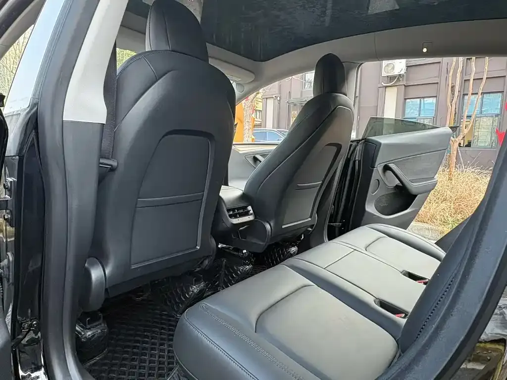 Tesla Model Y 2021 из CN, фото 3