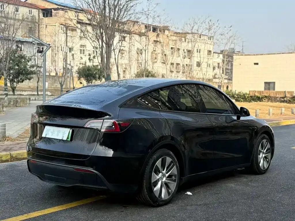 Tesla Model Y 2021 из CN, фото 8