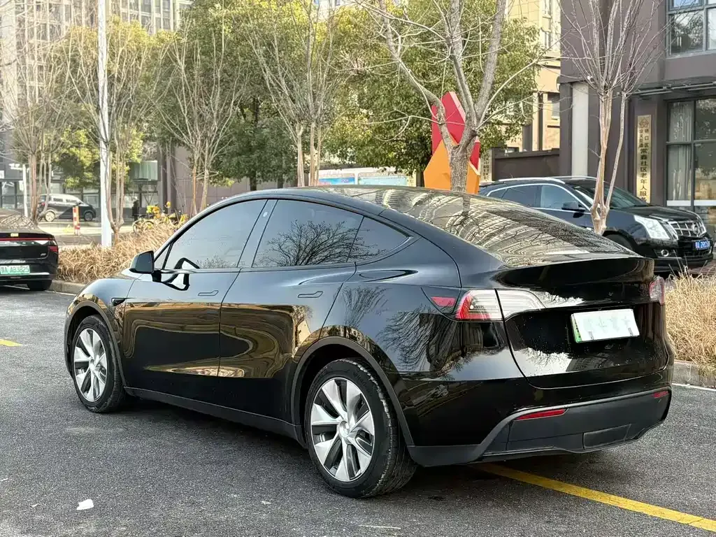 Tesla Model Y 2021 из CN, фото 9
