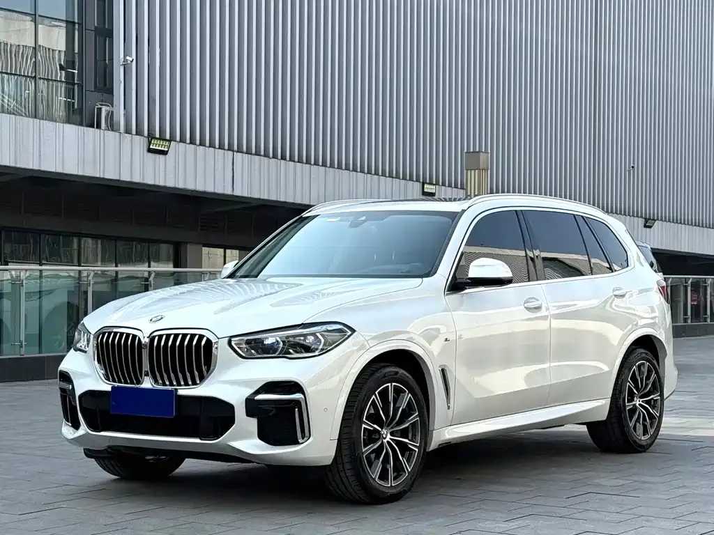 BMW X5 — фото 1