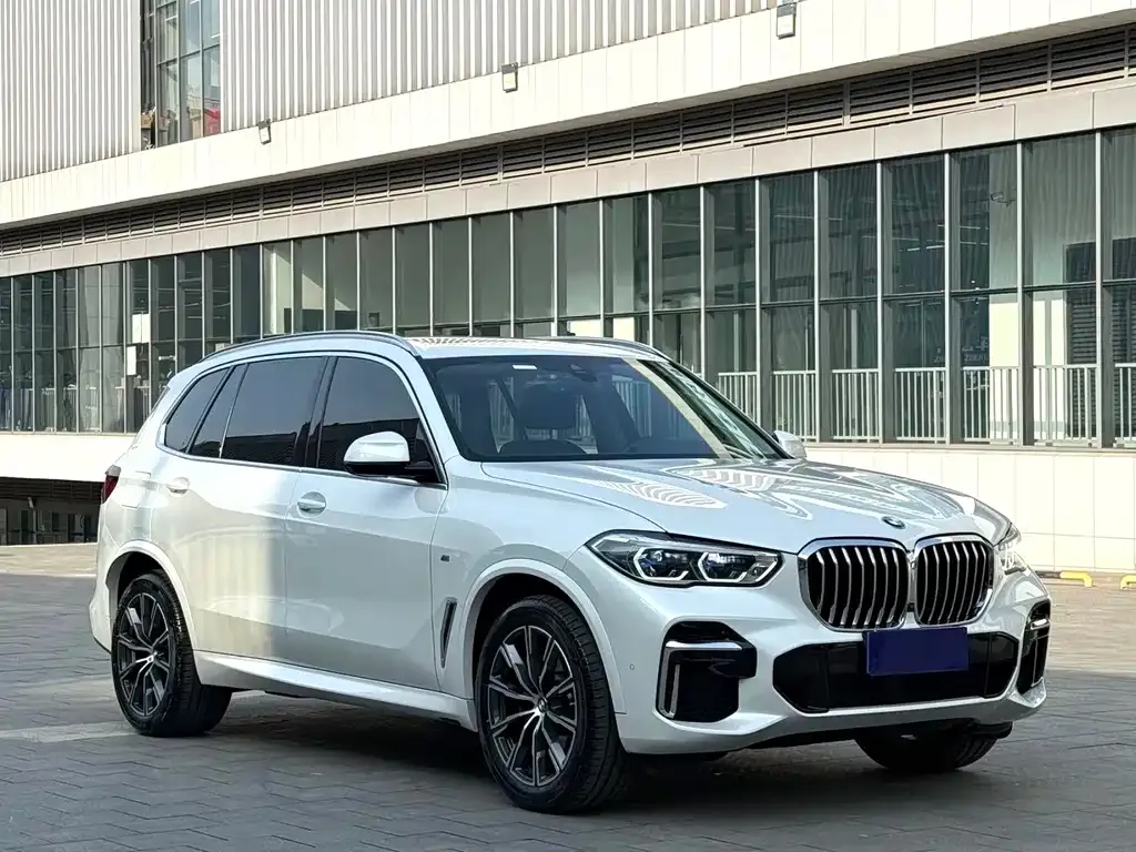 BMW X5 — фото 5