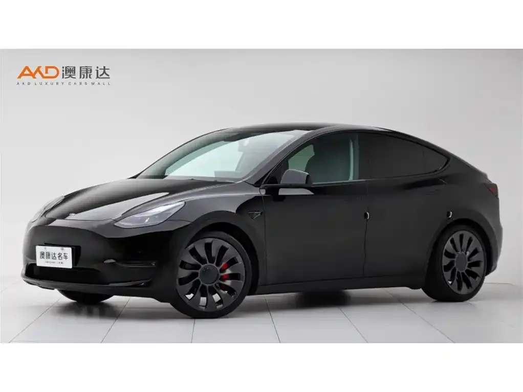 Tesla Model Y — фото 1