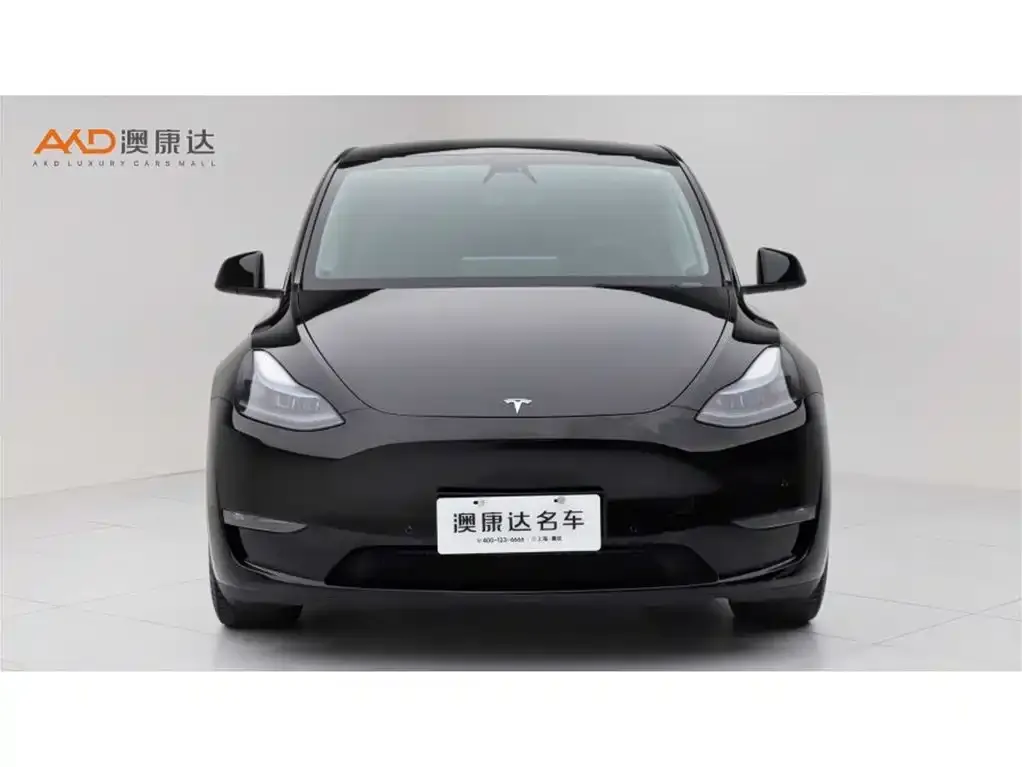 Tesla Model Y — фото 10