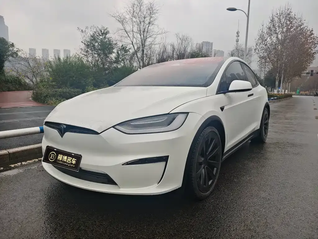 Tesla Model X 2024 из CN, фото 1