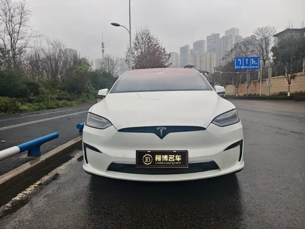Tesla Model X 2024 из CN, фото 4