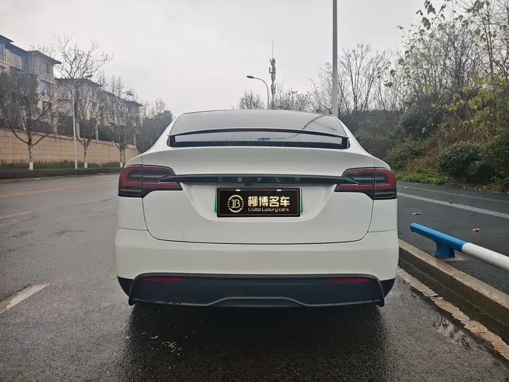 Tesla Model X 2024 из CN, фото 7
