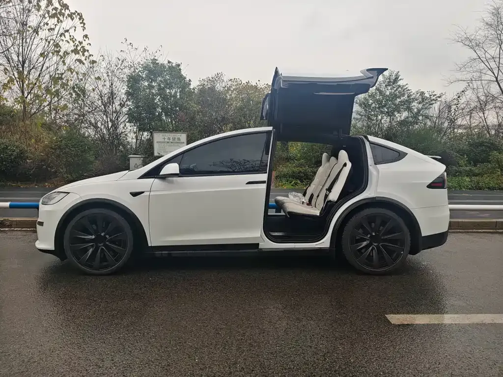 Tesla Model X 2024 из CN, фото 10