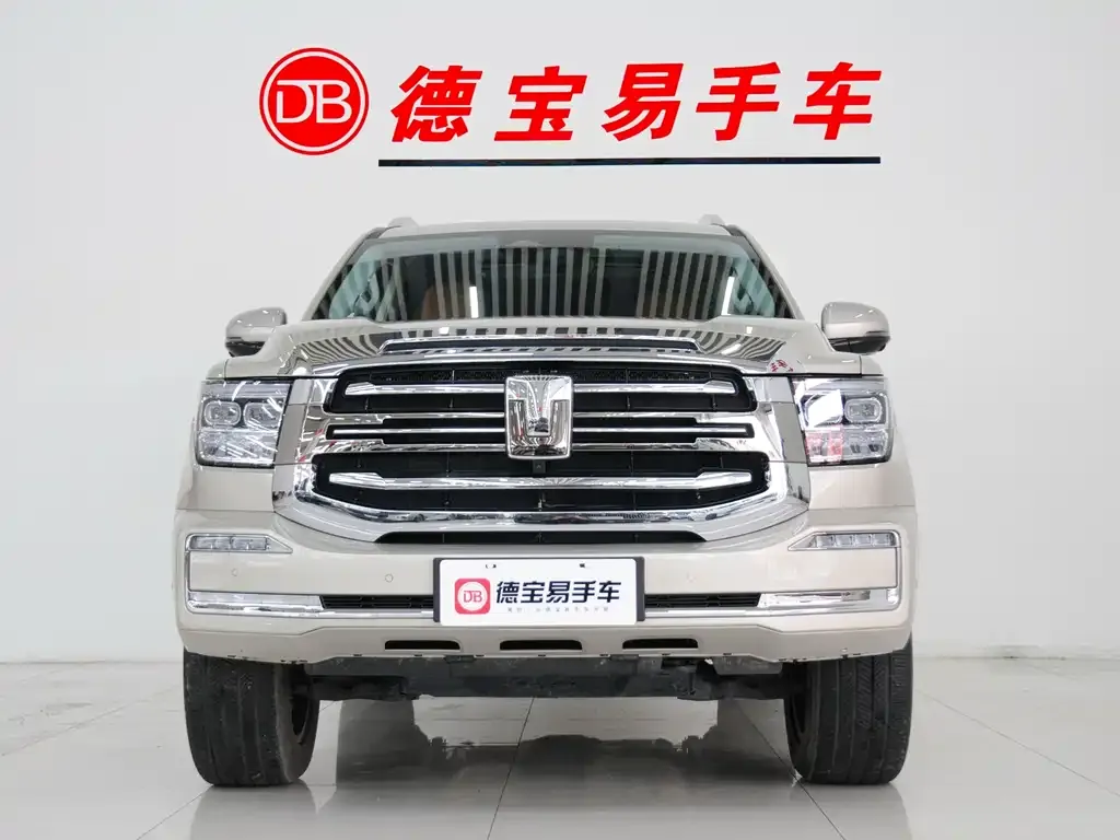 Tank 500 New Energy 2024 из CN, фото 8