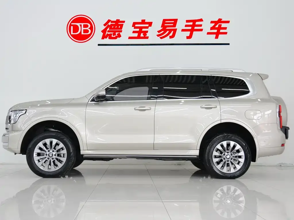 Tank 500 New Energy 2024 из CN, фото 2