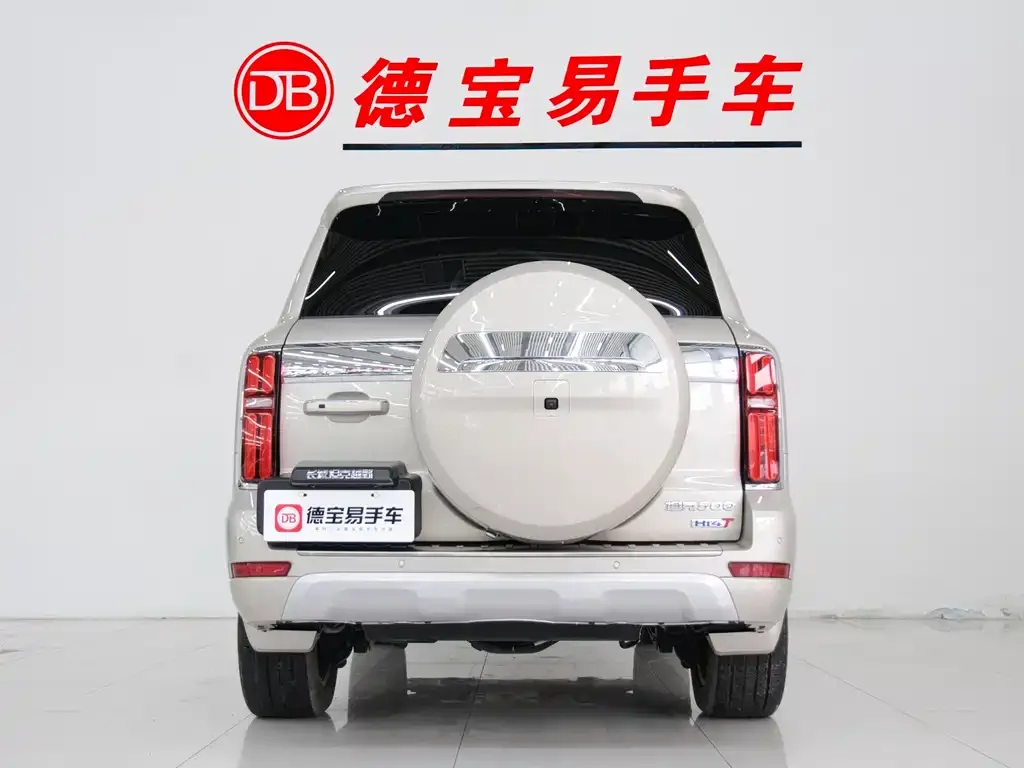 Tank 500 New Energy 2024 из CN, фото 3