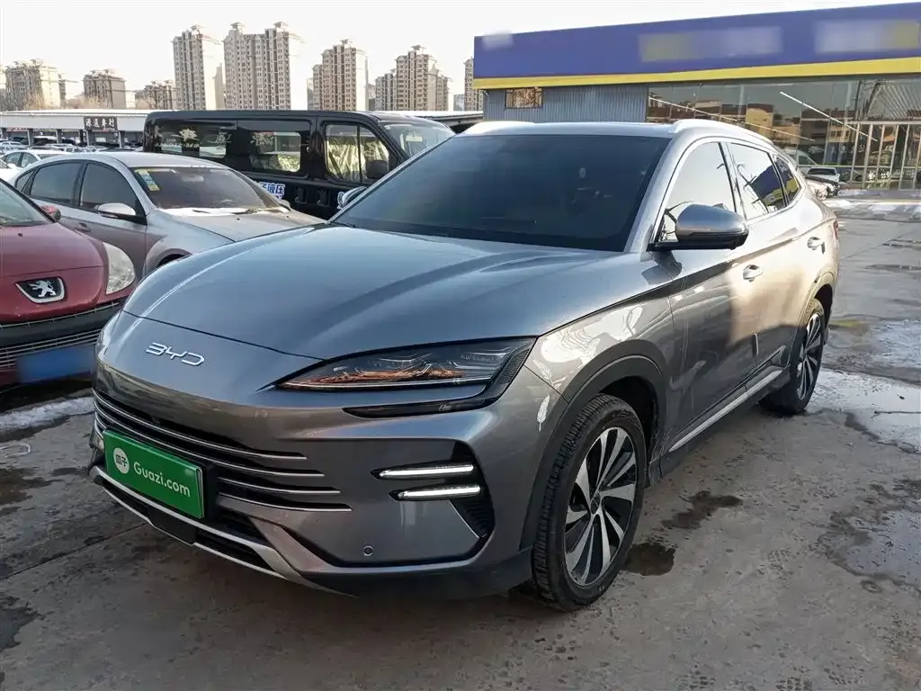 BYD PLUS New Energy 2024 из CN, фото 5