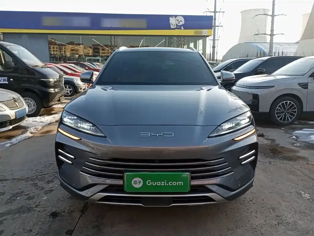 BYD PLUS New Energy 2024 из CN, фото 2