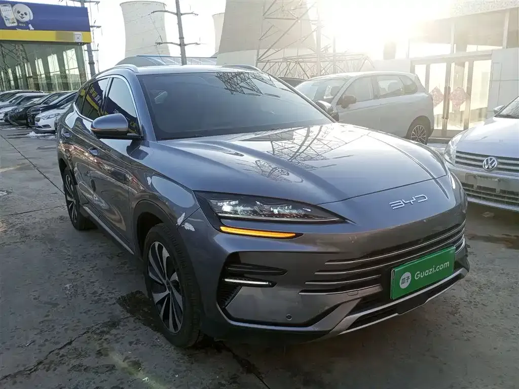 BYD PLUS New Energy 2024 из CN, фото 3
