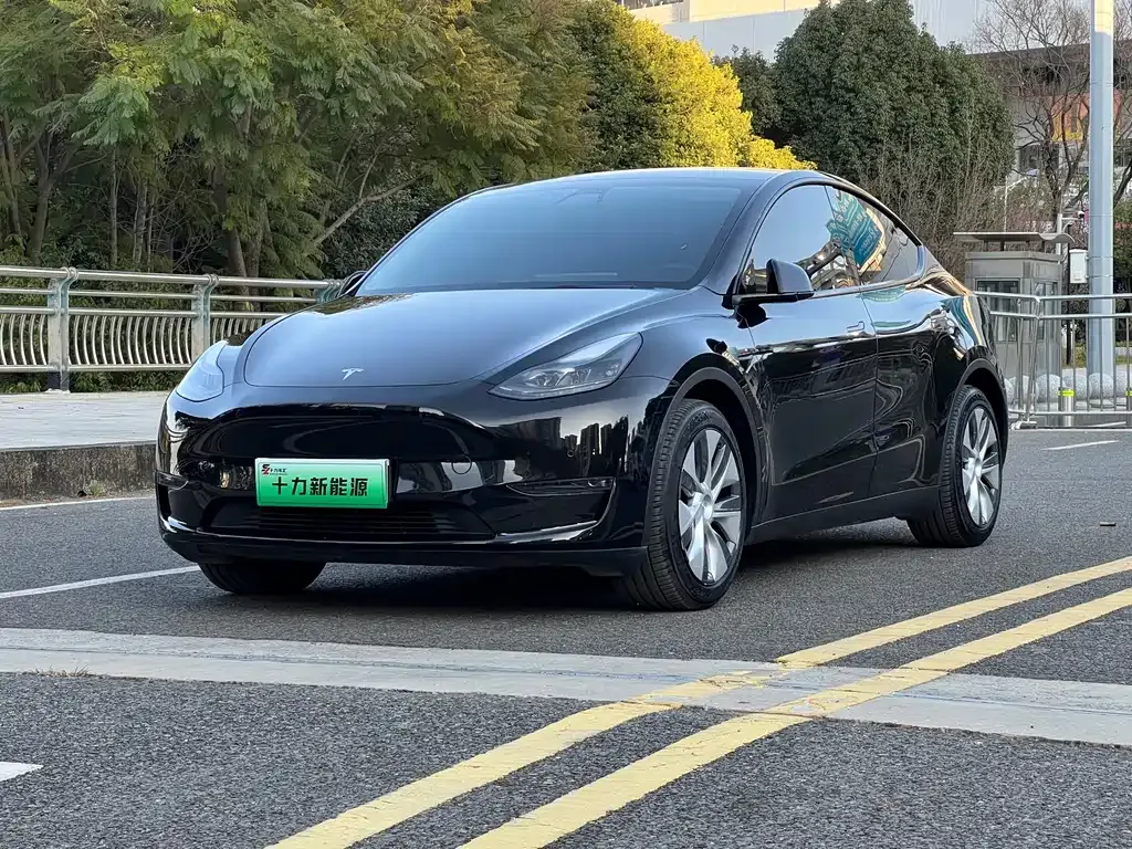 Tesla Model Y — фото 1