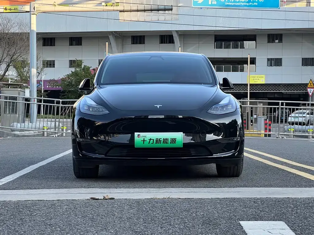 Tesla Model Y — фото 9