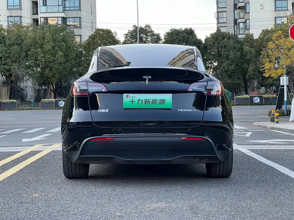 Tesla Model Y — фото 10